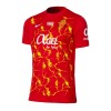 Camiseta de fútbol RCD Mallorca Special 23-24 - Hombre